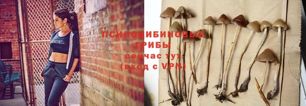 не бодяженный Алзамай