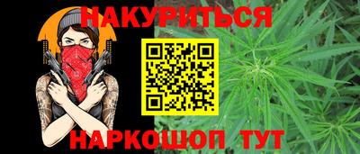 гашик Моздок
