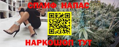 гашик Моздок