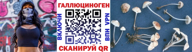 Галлюциногенные грибы Cubensis продажа наркотиков Электрогорск
