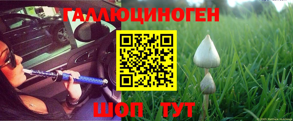 Псилоцибиновые грибы MAGIC MUSHROOMS Электрогорск