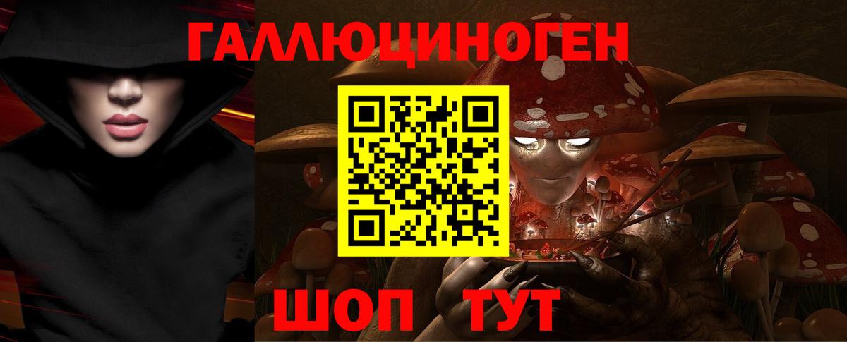 Электрогорск  Псилоцибиновые грибы ЛСД  Вход с VPN  закладка  Псилоцибиновые грибы ЛСД 